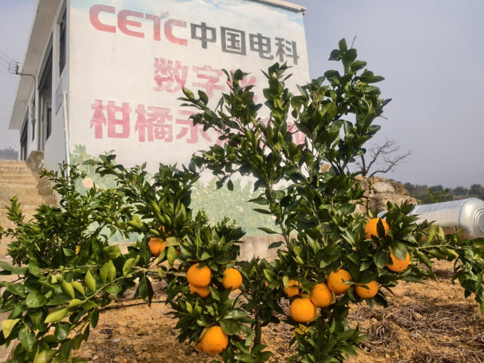中国电科定点帮扶工作连续7年获评最高等次“好”